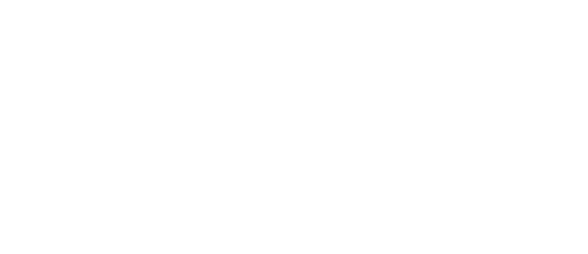 sonnweberFilm Logo_white